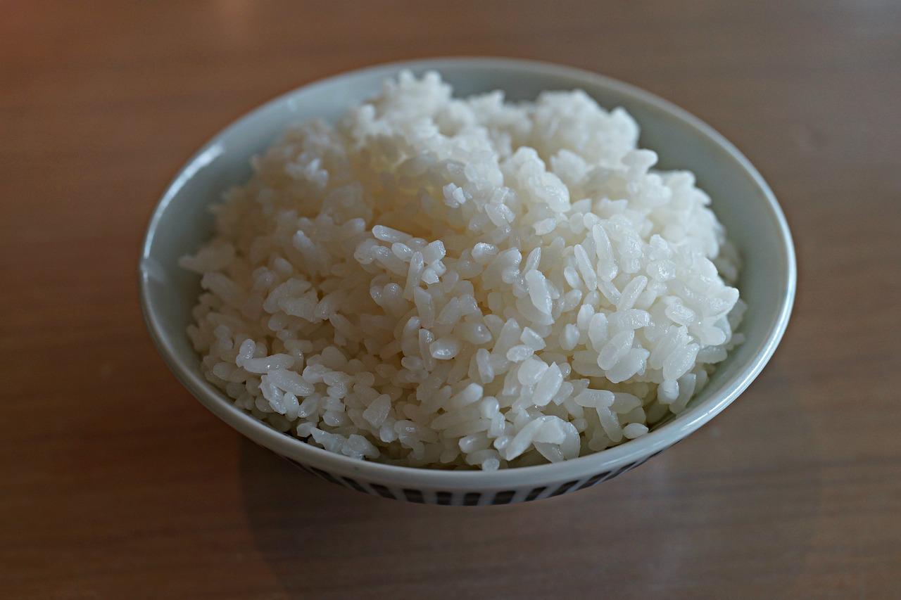 犬に米をあげても大丈夫！与え方や食べていい量を犬の管理栄養士が解説